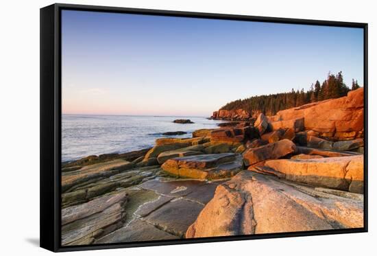 Marine Landscape in Acadia, Park Loop Road, Acadia National Park, Maine-Mircea Costina-Framed Stretched Canvas