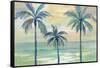 Marine Layer Palms Crop-Silvia Vassileva-Framed Stretched Canvas