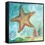 Marine Life Motif II-Gregory Gorham-Framed Stretched Canvas