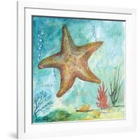 Marine Life Motif II-Gregory Gorham-Framed Art Print