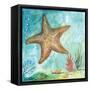 Marine Life Motif II-Gregory Gorham-Framed Stretched Canvas