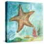 Marine Life Motif II-Gregory Gorham-Stretched Canvas