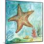 Marine Life Motif II-Gregory Gorham-Mounted Art Print