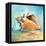 Marine Life Motif III-Gregory Gorham-Framed Stretched Canvas