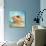 Marine Life Motif III-Gregory Gorham-Art Print displayed on a wall