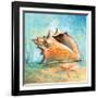 Marine Life Motif III-Gregory Gorham-Framed Art Print