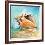 Marine Life Motif III-Gregory Gorham-Framed Art Print