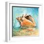 Marine Life Motif III-Gregory Gorham-Framed Art Print