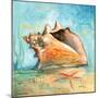 Marine Life Motif III-Gregory Gorham-Mounted Premium Giclee Print