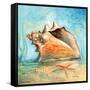 Marine Life Motif III-Gregory Gorham-Framed Stretched Canvas