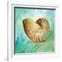 Marine Life Motif IV-Gregory Gorham-Framed Art Print