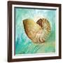 Marine Life Motif IV-Gregory Gorham-Framed Art Print