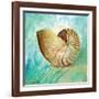 Marine Life Motif IV-Gregory Gorham-Framed Art Print