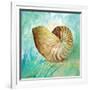 Marine Life Motif IV-Gregory Gorham-Framed Art Print