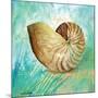 Marine Life Motif IV-Gregory Gorham-Mounted Art Print