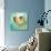 Marine Life Motif IV-Gregory Gorham-Stretched Canvas displayed on a wall