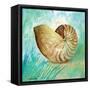 Marine Life Motif IV-Gregory Gorham-Framed Stretched Canvas