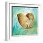 Marine Life Motif IV-Gregory Gorham-Framed Art Print