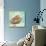 Marine Life Motif V-Gregory Gorham-Stretched Canvas displayed on a wall