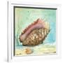 Marine Life Motif V-Gregory Gorham-Framed Art Print