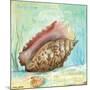 Marine Life Motif V-Gregory Gorham-Mounted Art Print