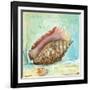 Marine Life Motif V-Gregory Gorham-Framed Art Print