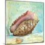 Marine Life Motif V-Gregory Gorham-Mounted Art Print