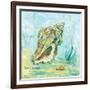 Marine Life Motif VI-Gregory Gorham-Framed Art Print