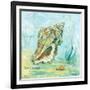 Marine Life Motif VI-Gregory Gorham-Framed Art Print