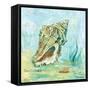 Marine Life Motif VI-Gregory Gorham-Framed Stretched Canvas