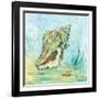 Marine Life Motif VI-Gregory Gorham-Framed Art Print