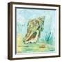 Marine Life Motif VI-Gregory Gorham-Framed Art Print