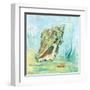 Marine Life Motif VI-Gregory Gorham-Framed Art Print