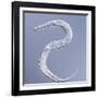 Marine Nematode Worm, Light Micrograph-Gerd Guenther-Framed Photographic Print