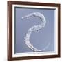 Marine Nematode Worm, Light Micrograph-Gerd Guenther-Framed Photographic Print