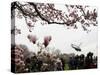 Marine One, with President Obama Aboard, Lifts Off from the South Lawn of the White House-null-Stretched Canvas