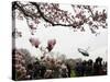 Marine One, with President Obama Aboard, Lifts Off from the South Lawn of the White House-null-Stretched Canvas