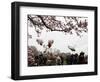 Marine One, with President Obama Aboard, Lifts Off from the South Lawn of the White House-null-Framed Photographic Print