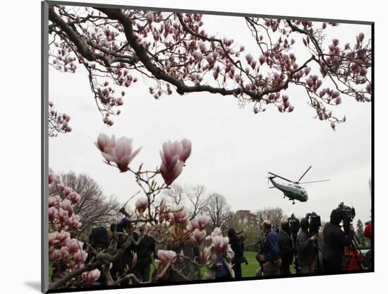 Marine One, with President Obama Aboard, Lifts Off from the South Lawn of the White House-null-Mounted Photographic Print