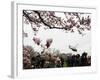 Marine One, with President Obama Aboard, Lifts Off from the South Lawn of the White House-null-Framed Photographic Print