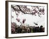 Marine One, with President Obama Aboard, Lifts Off from the South Lawn of the White House-null-Framed Photographic Print