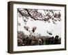 Marine One, with President Obama Aboard, Lifts Off from the South Lawn of the White House-null-Framed Photographic Print