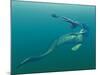 Marine Predators of the Cretaceous Period-Stocktrek Images-Mounted Photographic Print