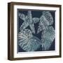 Marine Shells I-Chariklia Zarris-Framed Art Print