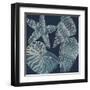 Marine Shells I-Chariklia Zarris-Framed Art Print