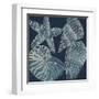 Marine Shells I-Chariklia Zarris-Framed Art Print