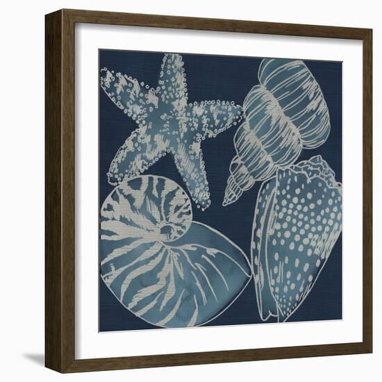 Marine Shells I-Chariklia Zarris-Framed Art Print