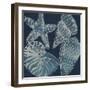 Marine Shells I-Chariklia Zarris-Framed Art Print