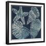 Marine Shells I-Chariklia Zarris-Framed Art Print