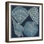 Marine Shells IV-Chariklia Zarris-Framed Art Print